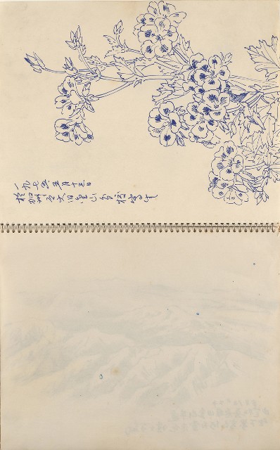 藏品:美國夏威夷、威斯康新、舊金山及臺灣桃園慈湖、溪頭等地寫生集的(20)張圖片
