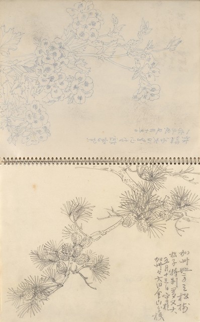 藏品:美國夏威夷、威斯康新、舊金山及臺灣桃園慈湖、溪頭等地寫生集的(21)張圖片