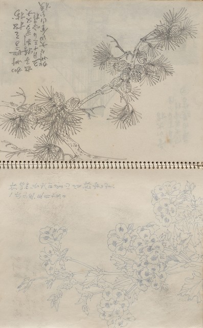 藏品:美國夏威夷、威斯康新、舊金山及臺灣桃園慈湖、溪頭等地寫生集的(21)張圖片