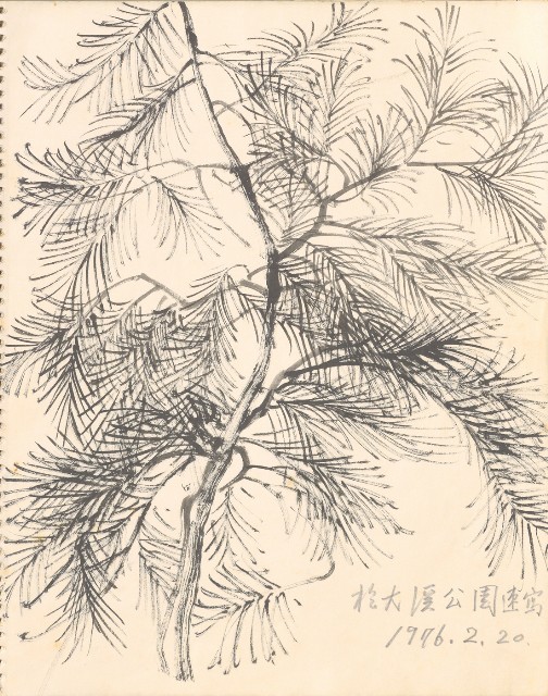 藏品:1975-1980年間威尼斯康新、溪頭、野生動物園等地025的(26)張圖片