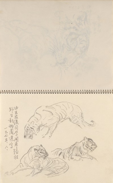 藏品:美國夏威夷、威斯康新、舊金山及臺灣桃園慈湖、溪頭等地寫生集的(32)張圖片