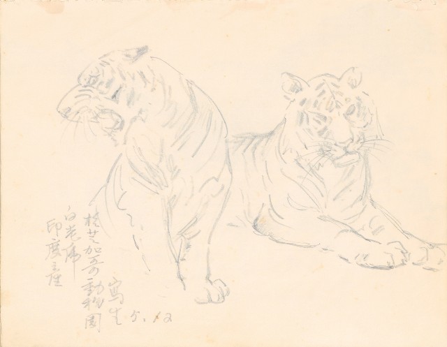 藏品:1975-1980年間威尼斯康新、溪頭、野生動物園等地025的(31)張圖片