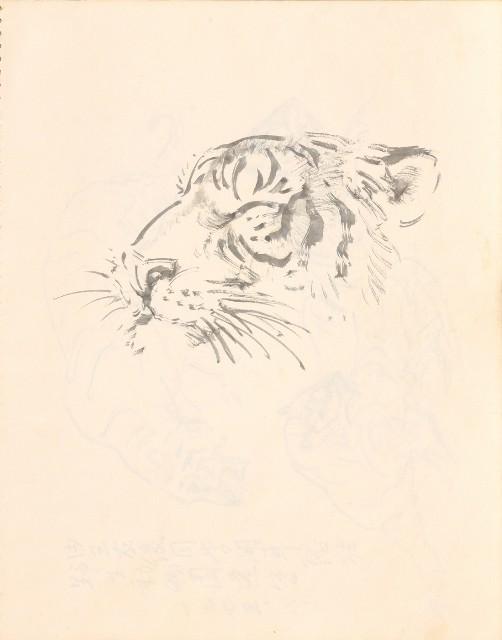 藏品:1975-1980年間威尼斯康新、溪頭、野生動物園等地025的(32)張圖片