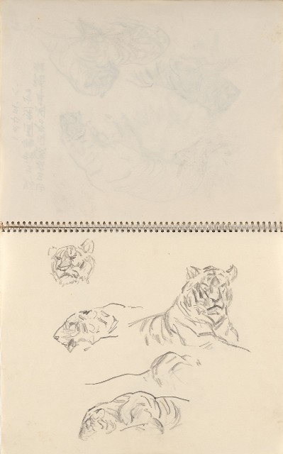 藏品:美國夏威夷、威斯康新、舊金山及臺灣桃園慈湖、溪頭等地寫生集的(33)張圖片