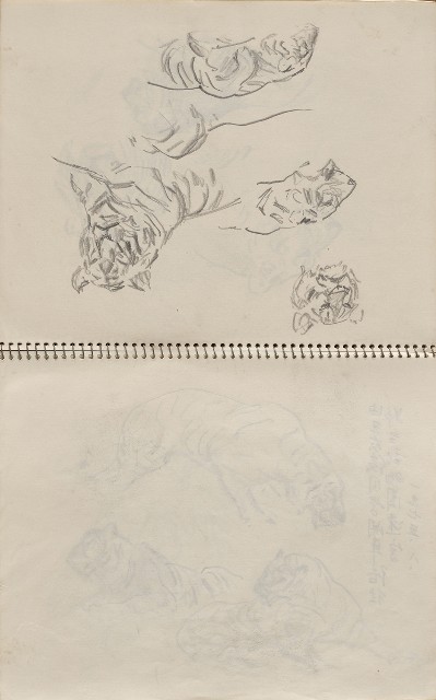 藏品:美國夏威夷、威斯康新、舊金山及臺灣桃園慈湖、溪頭等地寫生集的(33)張圖片