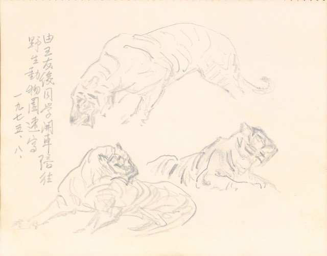 藏品:1975-1980年間威尼斯康新、溪頭、野生動物園等地025的(33)張圖片