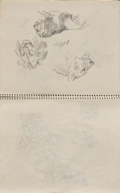 藏品:美國夏威夷、威斯康新、舊金山及臺灣桃園慈湖、溪頭等地寫生集的(34)張圖片