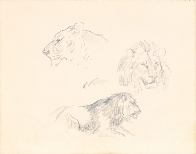 藏品:1975-1980年間威尼斯康新、溪頭、野生動物園等地025的(35)張圖片