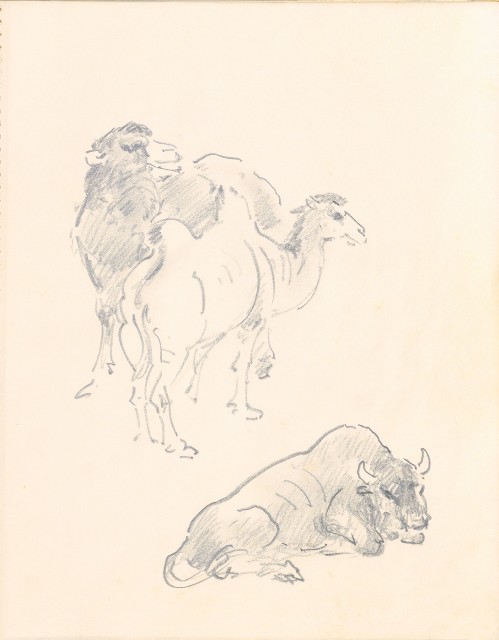 藏品:1975-1980年間威尼斯康新、溪頭、野生動物園等地025的(37)張圖片