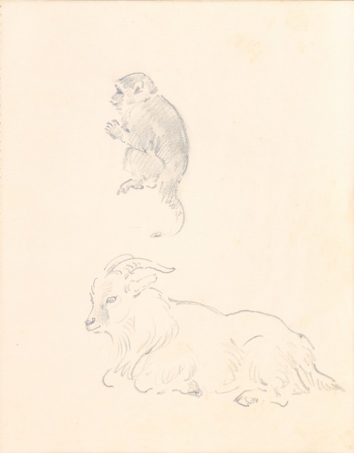 藏品:1975-1980年間威尼斯康新、溪頭、野生動物園等地025的(38)張圖片