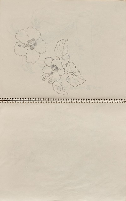 藏品:美國夏威夷、威斯康新、舊金山及臺灣桃園慈湖、溪頭等地寫生集的(40)張圖片