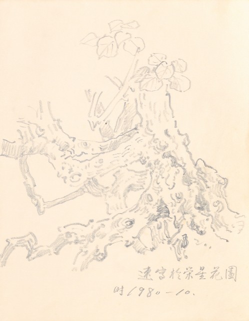 藏品:1975-1980年間威尼斯康新、溪頭、野生動物園等地025的(40)張圖片