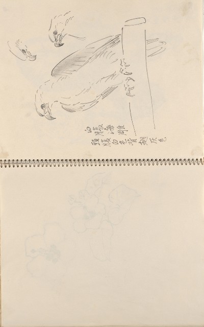 藏品:美國夏威夷、威斯康新、舊金山及臺灣桃園慈湖、溪頭等地寫生集的(41)張圖片
