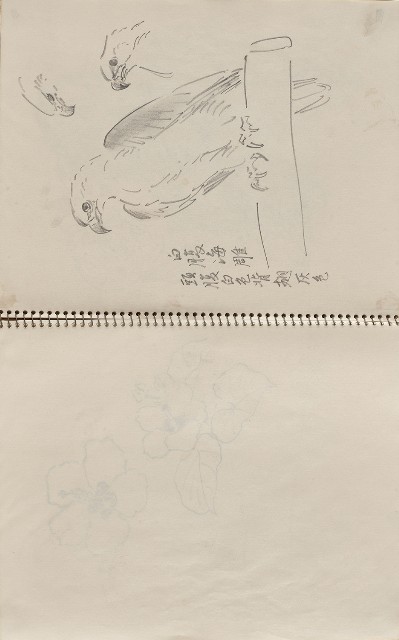 藏品:美國夏威夷、威斯康新、舊金山及臺灣桃園慈湖、溪頭等地寫生集的(41)張圖片