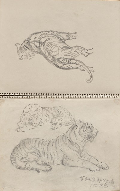 藏品:美國夏威夷、威斯康新、舊金山及臺灣桃園慈湖、溪頭等地寫生集的(42)張圖片