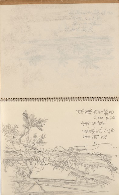 藏品:美國夏威夷、威斯康新、舊金山及臺灣桃園慈湖、溪頭等地寫生集的(43)張圖片