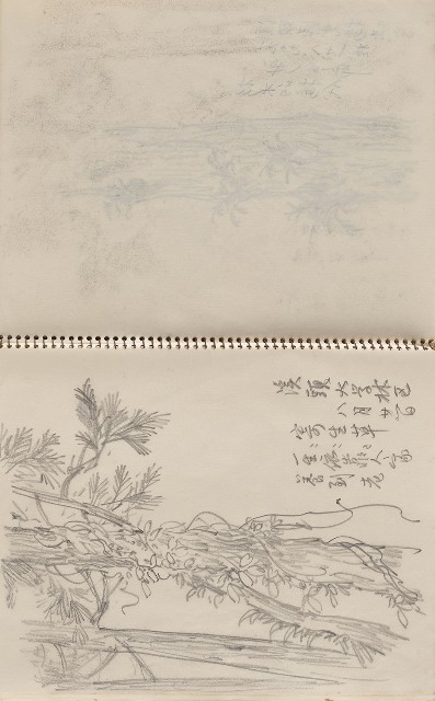 藏品:美國夏威夷、威斯康新、舊金山及臺灣桃園慈湖、溪頭等地寫生集的(43)張圖片