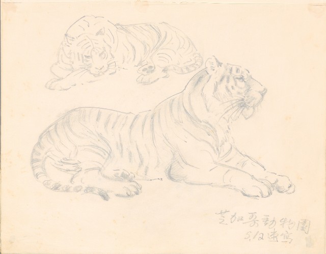 藏品:1975-1980年間威尼斯康新、溪頭、野生動物園等地025的(43)張圖片