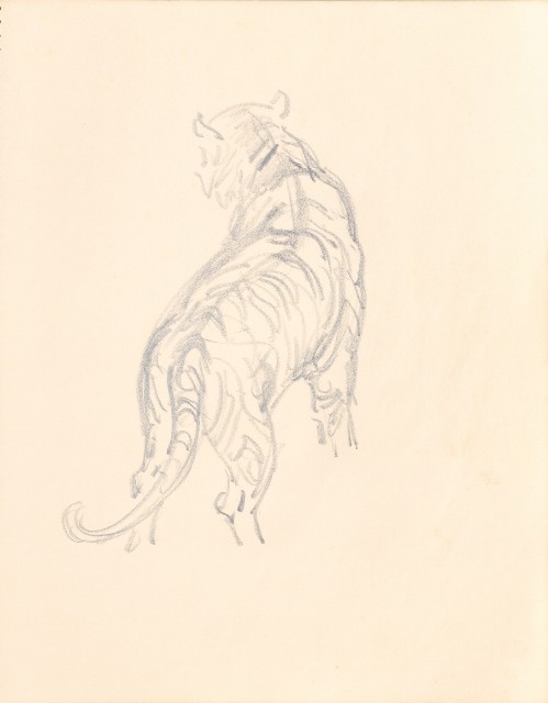 藏品:1975-1980年間威尼斯康新、溪頭、野生動物園等地025的(44)張圖片