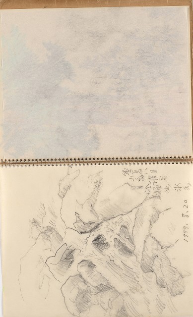 藏品:美國夏威夷、威斯康新、舊金山及臺灣桃園慈湖、溪頭等地寫生集的(46)張圖片