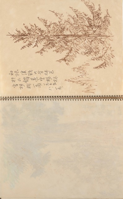 藏品:美國夏威夷、威斯康新、舊金山及臺灣桃園慈湖、溪頭等地寫生集的(48)張圖片