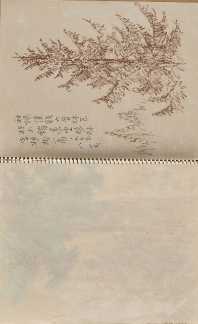 藏品:美國夏威夷、威斯康新、舊金山及臺灣桃園慈湖、溪頭等地寫生集的(48)張圖片