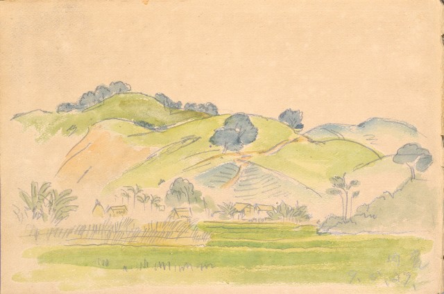 藏品:雞、花、鄉村、荷葉、木棉花等026的(3)張圖片