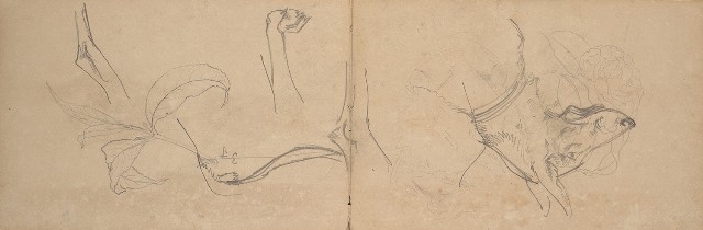 藏品:1930年代景觀、植物、動物、人物寫生集的(4)張圖片
