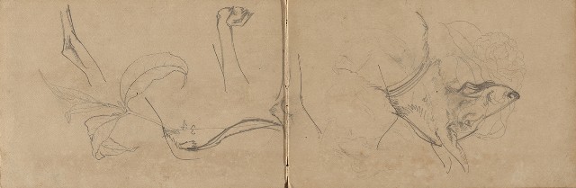 藏品:1930年代植物、動物、人物寫生集的(4)張圖片