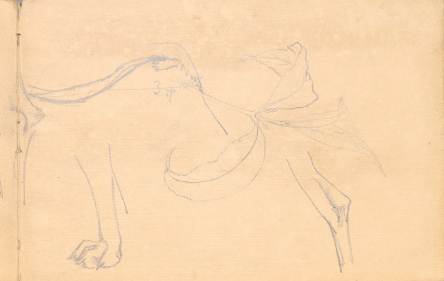 藏品:雞、花、鄉村、荷葉、木棉花等026的(5)張圖片