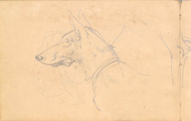 藏品:1930年代植物、動物、人物寫生集的(6)張圖片