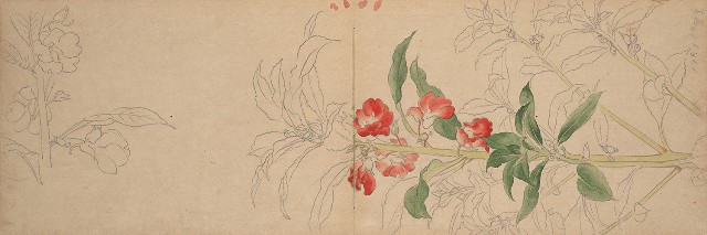 藏品:1930年代景觀、植物、動物、人物寫生集的(6)張圖片