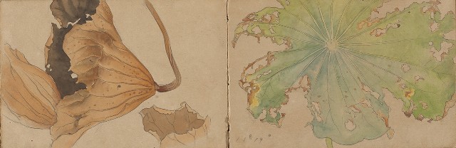 藏品:1930年代景觀、植物、動物、人物寫生集的(9)張圖片