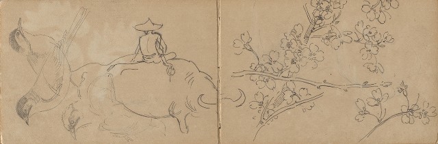 藏品:1930年代植物、動物、人物寫生集的(12)張圖片