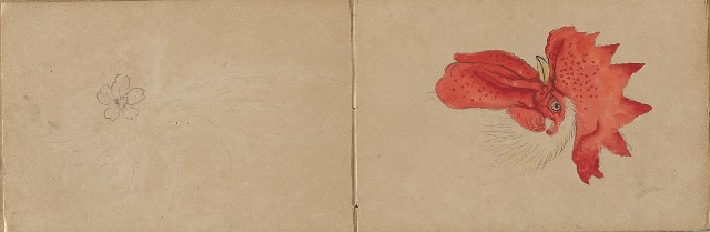 藏品:1930年代景觀、植物、動物、人物寫生集的(13)張圖片