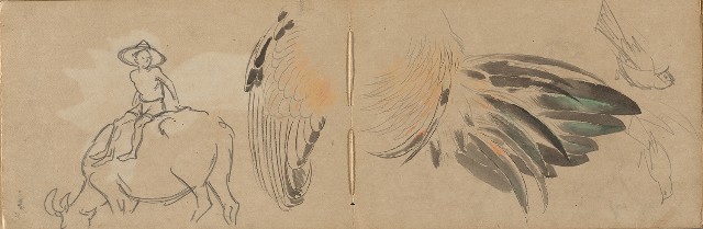 藏品:1930年代植物、動物、人物寫生集的(14)張圖片