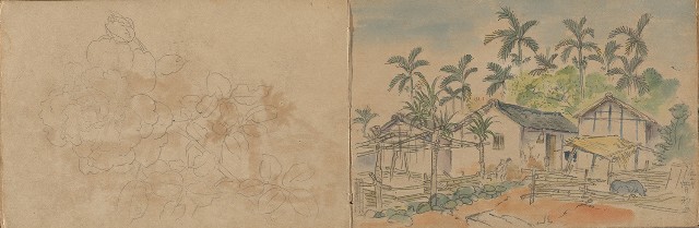 藏品:1930年代植物、動物、人物寫生集的(15)張圖片