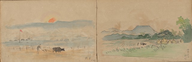 藏品:1930年代植物、動物、人物寫生集的(16)張圖片