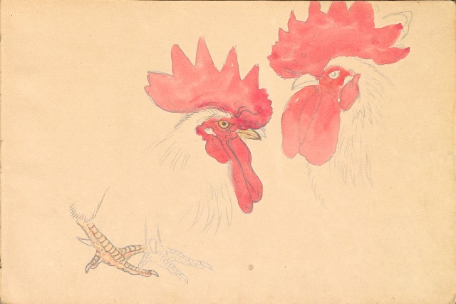 藏品:1930年代植物、動物、人物寫生集的(17)張圖片