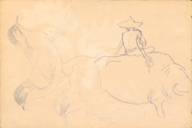 藏品:1930年代植物、動物、人物寫生集的(18)張圖片