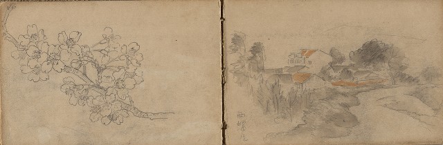 藏品:1930年代植物、動物、人物寫生集的(18)張圖片
