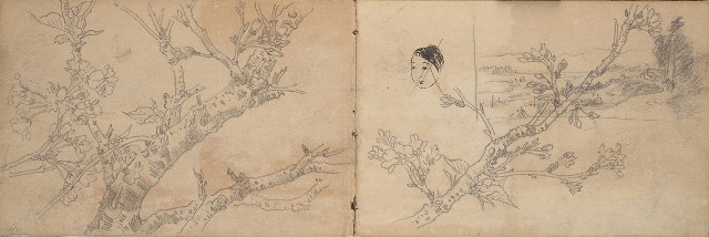 藏品:1930年代景觀、植物、動物、人物寫生集的(19)張圖片