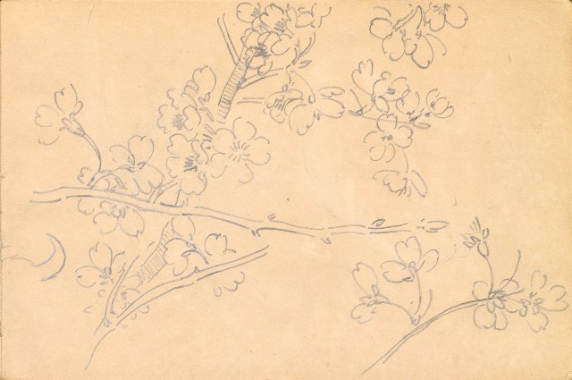 藏品:雞、花、鄉村、荷葉、木棉花等026的(19)張圖片