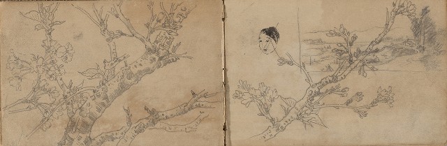 藏品:1930年代植物、動物、人物寫生集的(19)張圖片