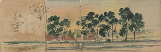 藏品:1930年代植物、動物、人物寫生集的(20)張圖片