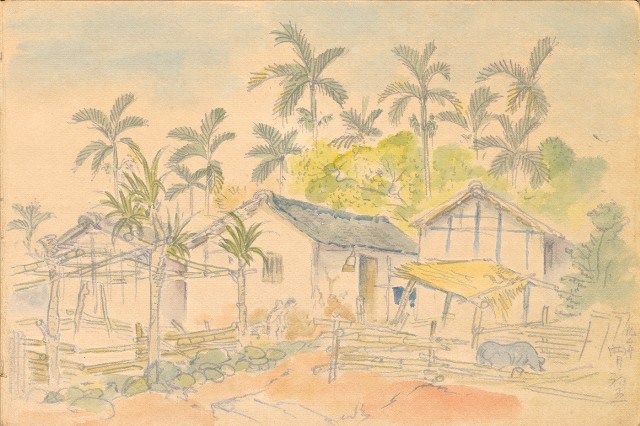 藏品:1930年代植物、動物、人物寫生集的(24)張圖片