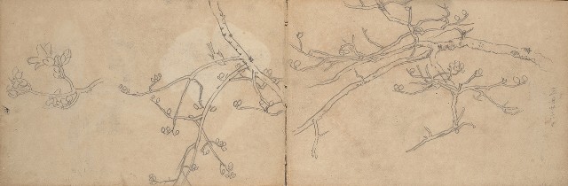 藏品:1930年代景觀、植物、動物、人物寫生集的(25)張圖片