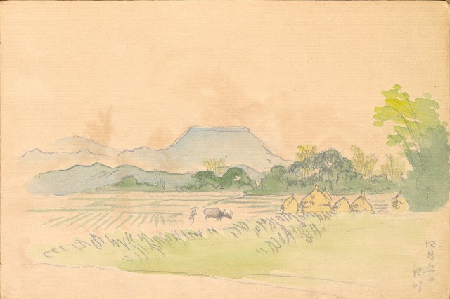 藏品:雞、花、鄉村、荷葉、木棉花等026的(26)張圖片