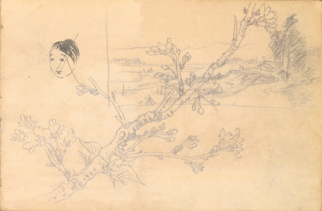 藏品:1930年代植物、動物、人物寫生集的(32)張圖片