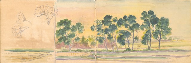 藏品:1930年代植物、動物、人物寫生集的(33)張圖片